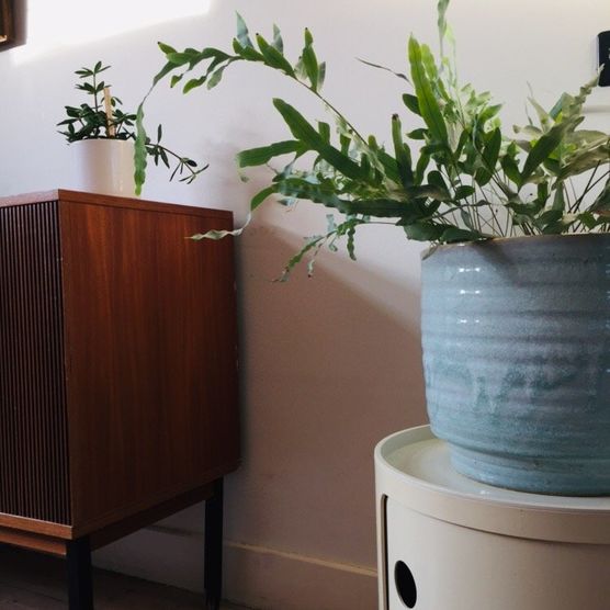 Bild von P-etra Bild von P-etra