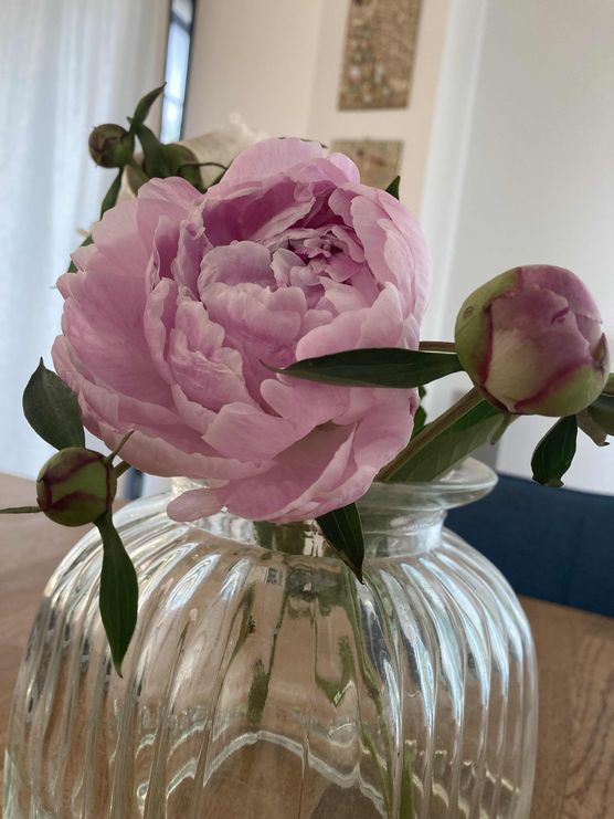 Bild von sa_bine Bild von sa_bine