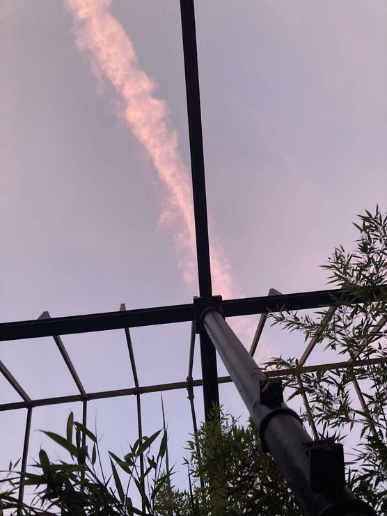 Bild von sa_bine Bild von sa_bine