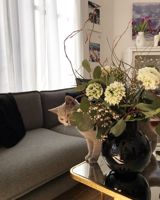 .....neugierig ein Leben lang .....neugierig ein Leben lang