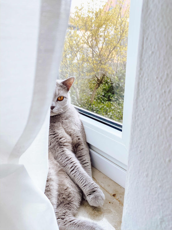 Bild von Nawyshome Bild von Nawyshome