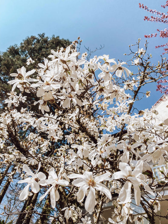 Bild von Nawyshome Bild von Nawyshome