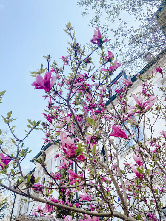 Bild von Nawyshome Bild von Nawyshome