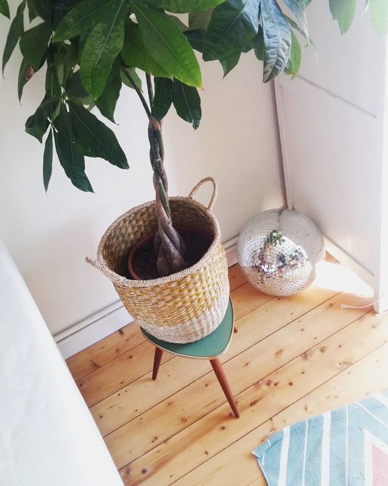 Bild von chez.marlene Bild von chez.marlene