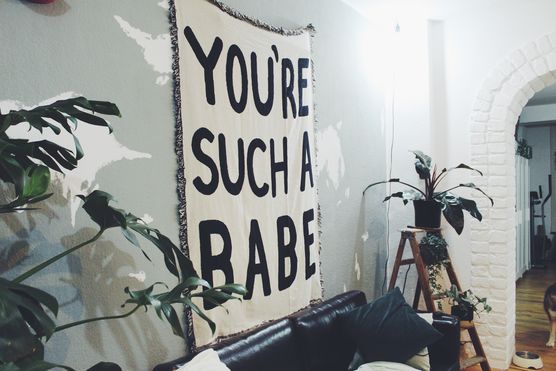 Wer findet den Hund? Wer findet den Hund?