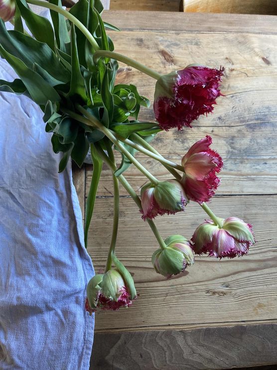 Bild von meinegutendinge Bild von meinegutendinge