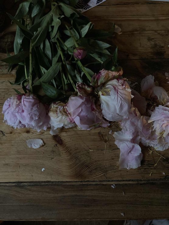 Bild von meinegutendinge Bild von meinegutendinge