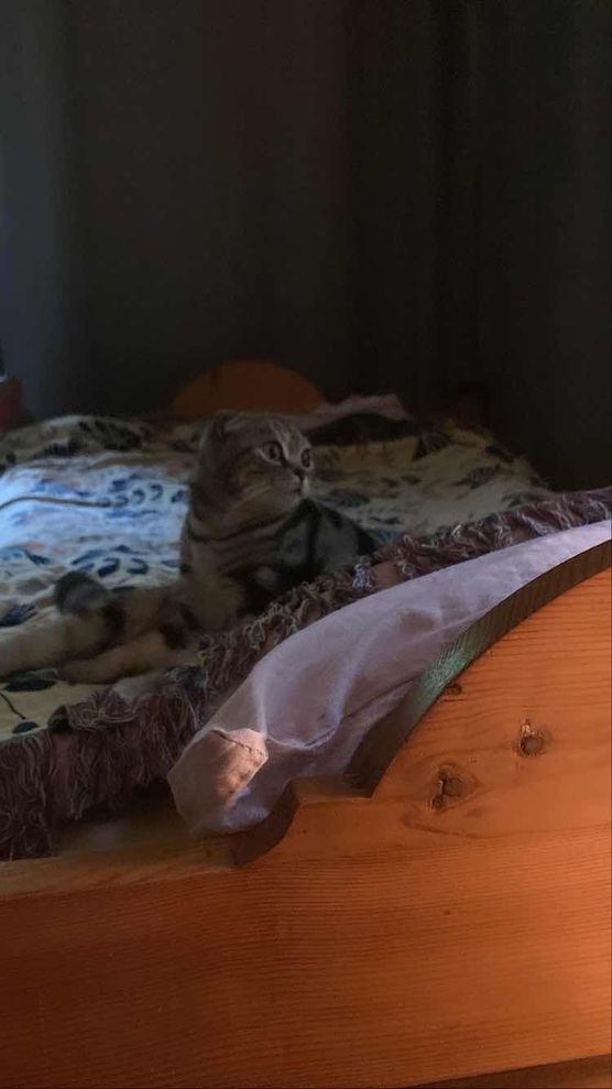 Bild von meinegutendinge Bild von meinegutendinge