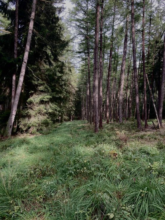 Bild von meinegutendinge Bild von meinegutendinge