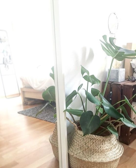 Bild von Sisheart Bild von Sisheart