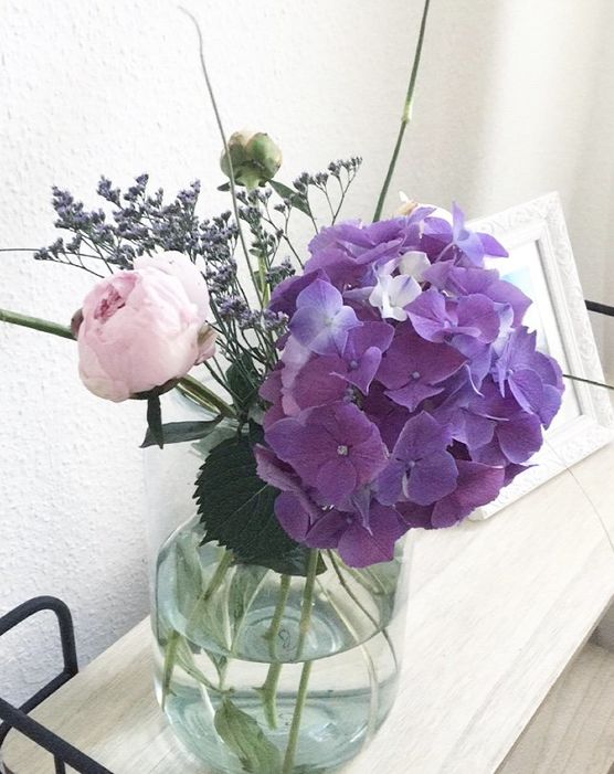 Aktuelle Situation im Wohnzimmer Aktuelle Situation im Wohnzimmer