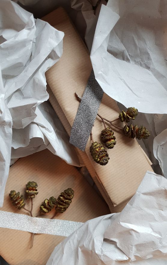 Eben zur Post gebracht... Eben zur Post gebracht...