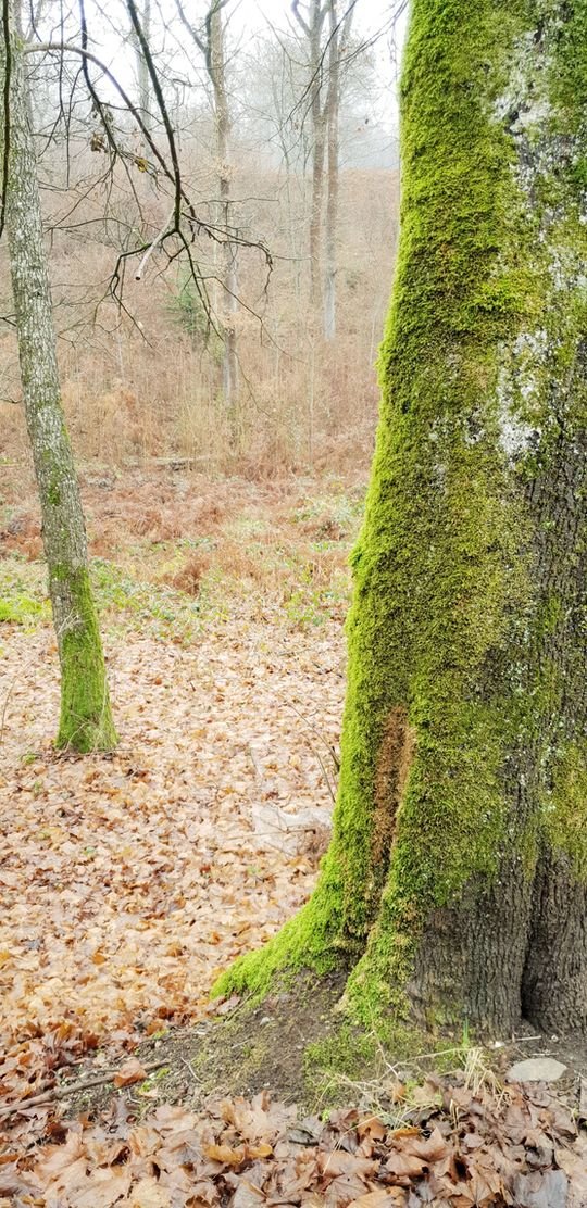 Bild von gedankenwoelkchen Bild von gedankenwoelkchen