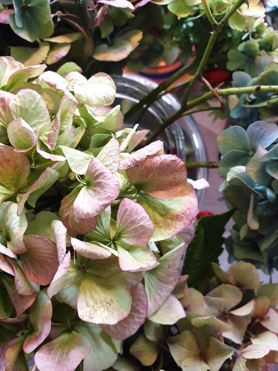 Immer ein bisschen schwermütig, Immer ein bisschen schwermütig,