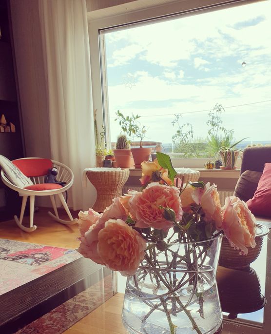 Schon ein paar Monate Schon ein paar Monate