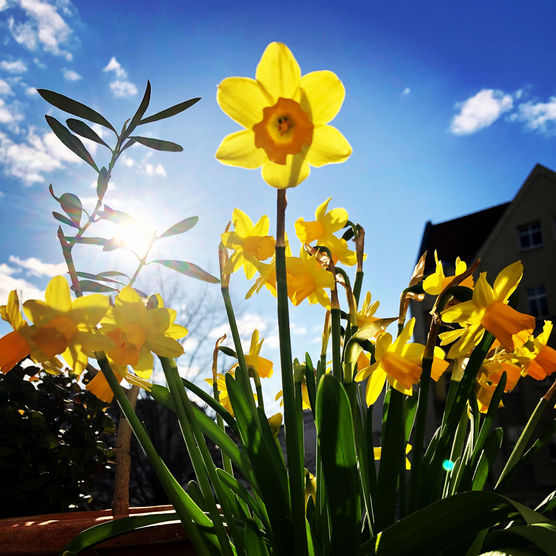 Bild von hollygolightly Bild von hollygolightly