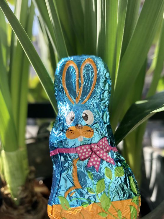 Frohe Ostern allerseits! Frohe Ostern allerseits!