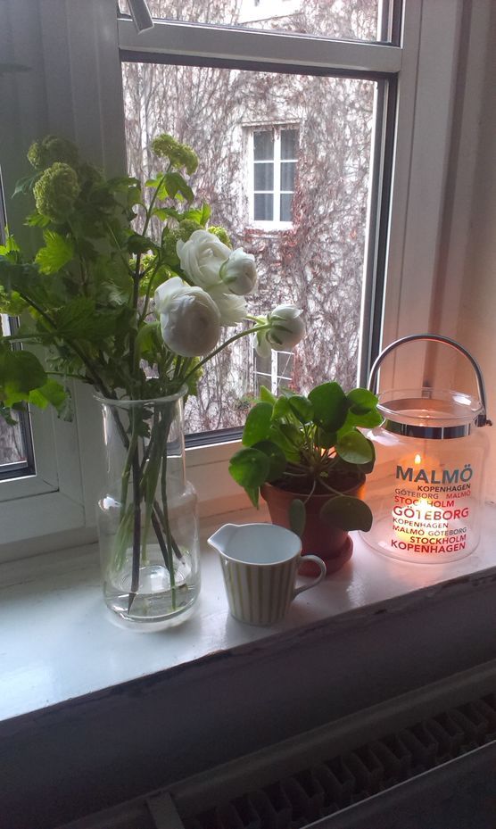 Ranunkeln und Schneeball Ranunkeln und Schneeball