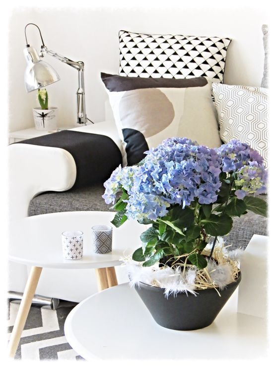 Vor-Frühlings-Impressionen Vor-Frühlings-Impressionen