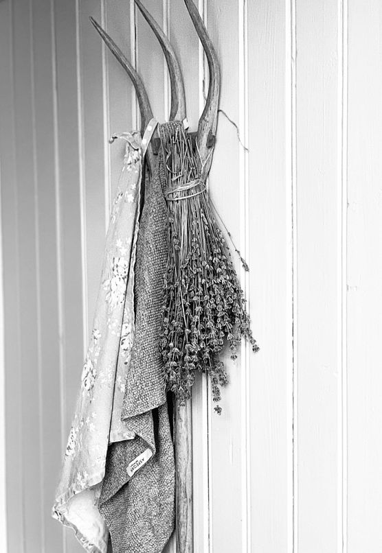 Bild von kathiaufdemland Bild von kathiaufdemland