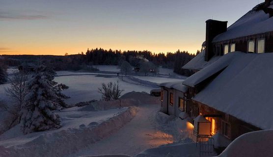 Bild von Grauerkoch Bild von Grauerkoch