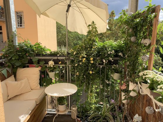 Mein Freund hat unseren Mein Freund hat unseren