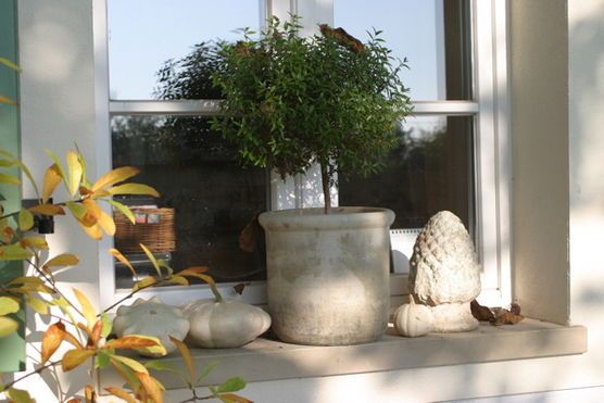 Herbststimmung im alten Garten 2 Herbststimmung im alten Garten 2