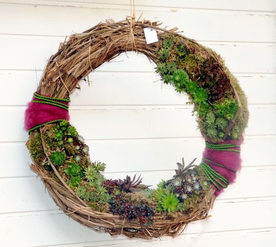 Sukkulenten-Kranz Sukkulenten-Kranz