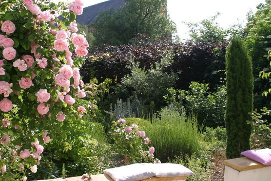 Gartenidylle mit Englischen Rosen Gartenidylle mit Englischen Rosen