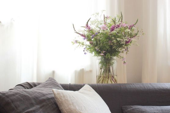 Wegrandblumen... Wegrandblumen...