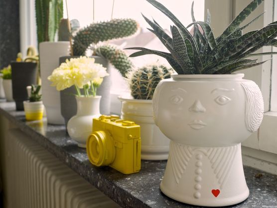 Bubikopf goes Punk Bubikopf goes Punk