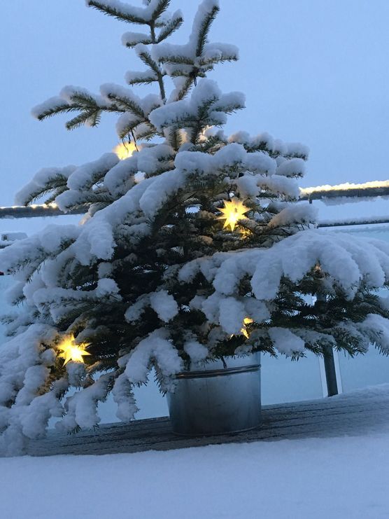 So schön... So schön...