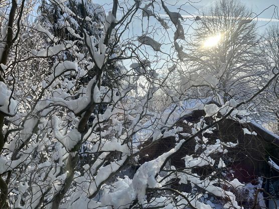 Bild von Heimat Bild von Heimat