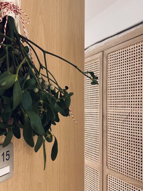 ...schöne Dinge... ...schöne Dinge...