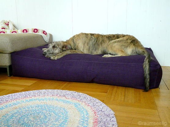 mmmh hier schläft sich´s supi! mmmh hier schläft sich´s supi!