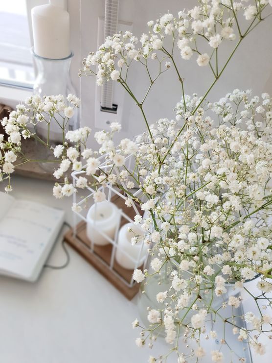 Ich liebe Schleierkraut. Es Ich liebe Schleierkraut. Es