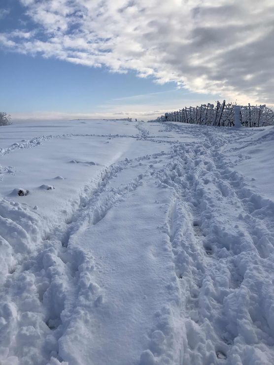 Bild von paura Bild von paura