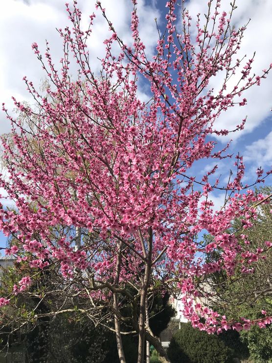 Bild von paura Bild von paura