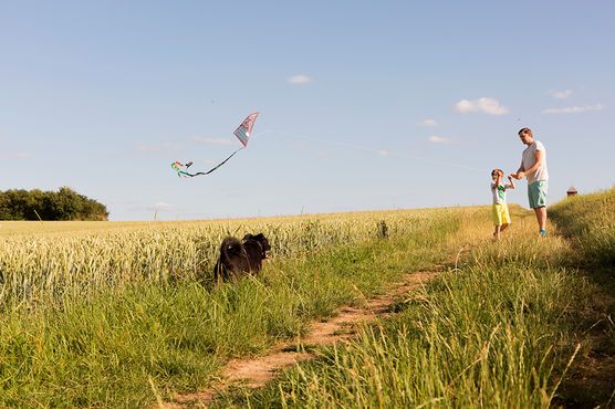 Drachen steigen lassen Drachen steigen lassen