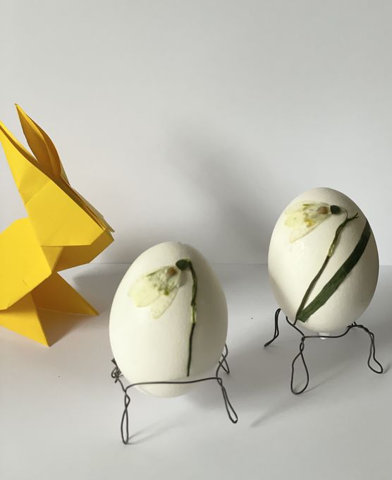 Schneeglöckchen und Eier - Schneeglöckchen und Eier -