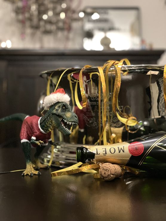 Der Dino kommt „bekleidet“ Der Dino kommt „bekleidet“