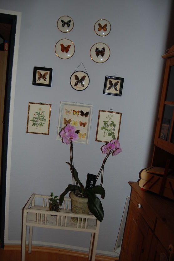 zu wenig wand in der dachwohnung... ;-) zu wenig wand in der dachwohnung... ;-)