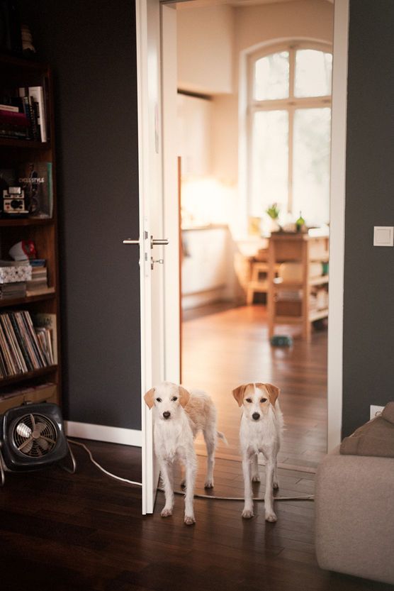 Zwei gute Gründe Zwei gute Gründe