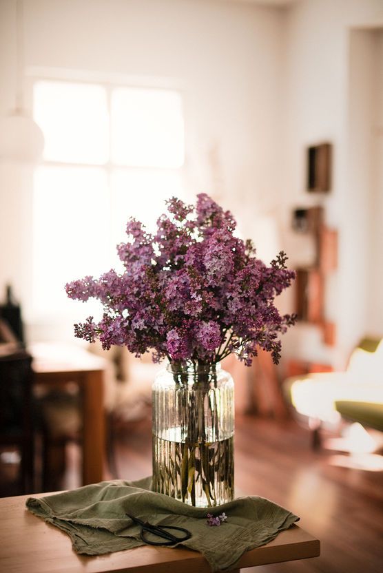 Flieder-Liebe 2016 Flieder-Liebe 2016