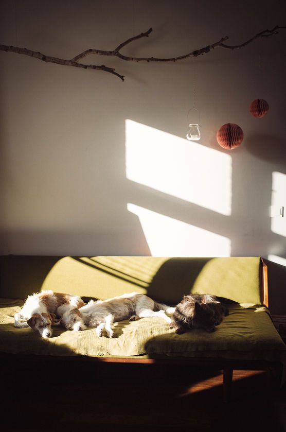 Kleiner Gruß mit Sonnenschein Kleiner Gruß mit Sonnenschein