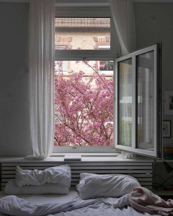 Bild von 2box detail Bild von 2box detail