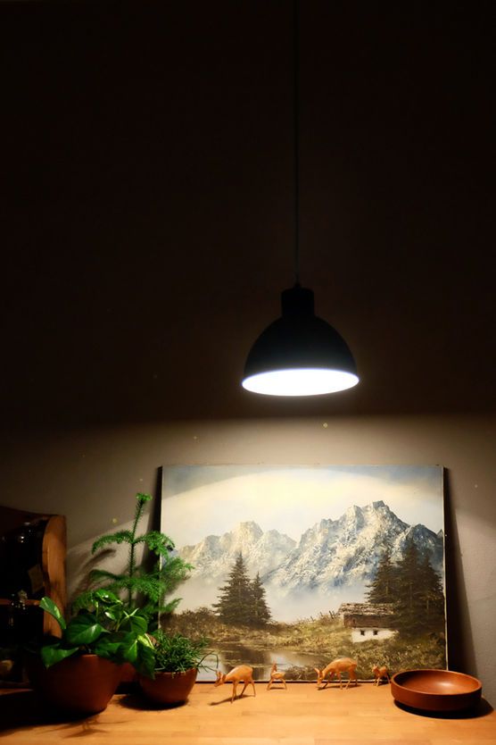 Köln: Regen / Alpen: Sonne Köln: Regen / Alpen: Sonne