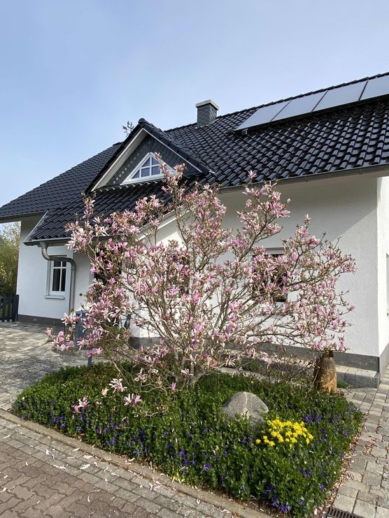 Bild von TatSt Bild von TatSt