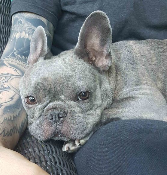 Bild von _gesa_ Bild von _gesa_