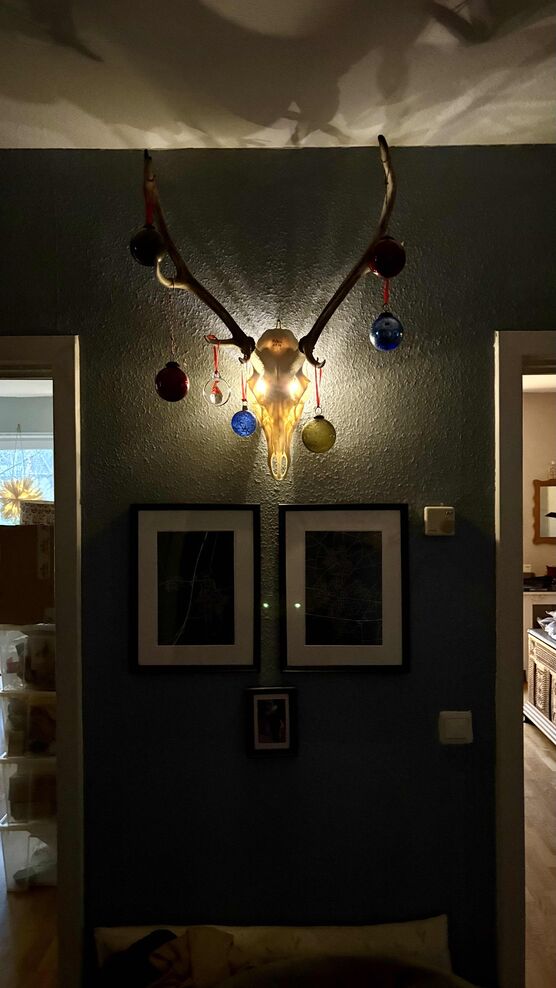 Bild von -Sanne- Bild von -Sanne-